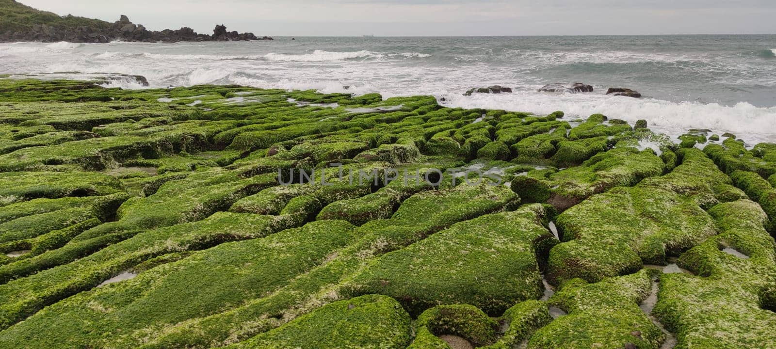 The Laomei Green Stone Trough is located in Shimen District on the North Coast, Every April and May, because the northeast monsoon slowly weakens, the local rock trough scientific name: tidal trench and sea erosion trench is covered with a large green seaweed