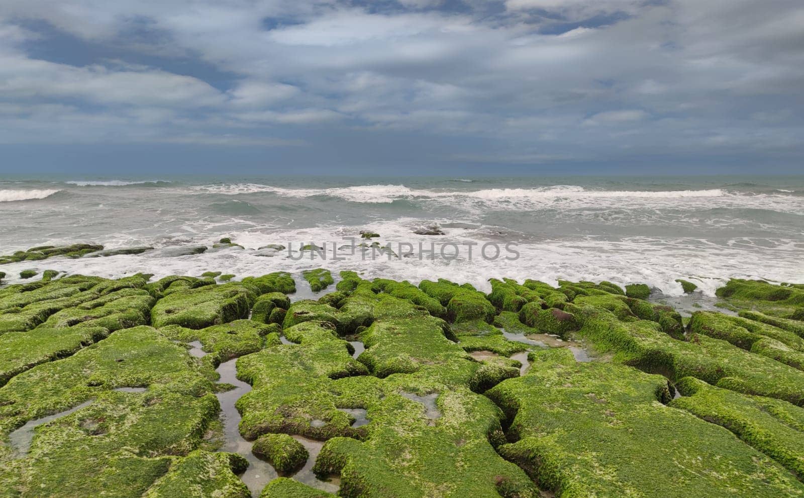 The Laomei Green Stone Trough is located in Shimen District on the North Coast, Every April and May, because the northeast monsoon slowly weakens, the local rock trough scientific name: tidal trench and sea erosion trench is covered with a large green seaweed