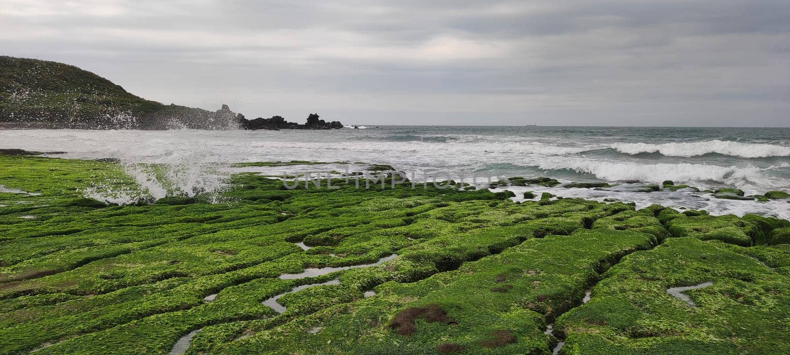 The Laomei Green Stone Trough is located in Shimen District on the North Coast, Every April and May, because the northeast monsoon slowly weakens, the local rock trough scientific name: tidal trench and sea erosion trench is covered with a large green seaweed