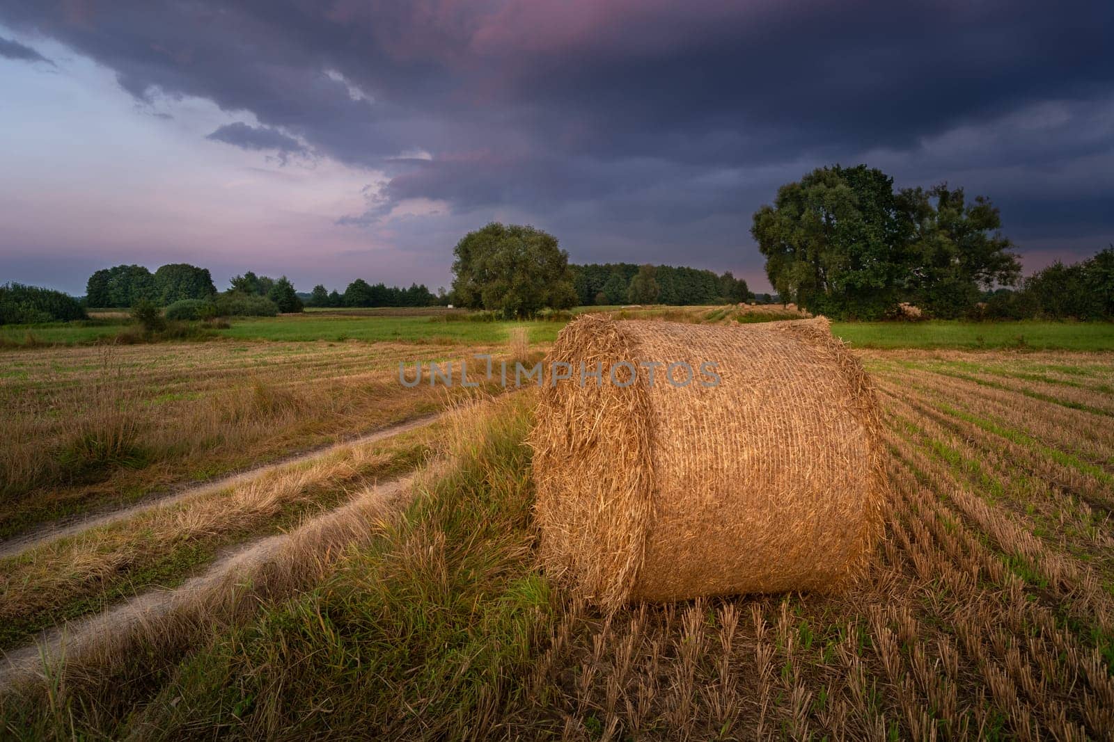 A hay bale by a dirt road and evening clouds, Nowiny, Poland
