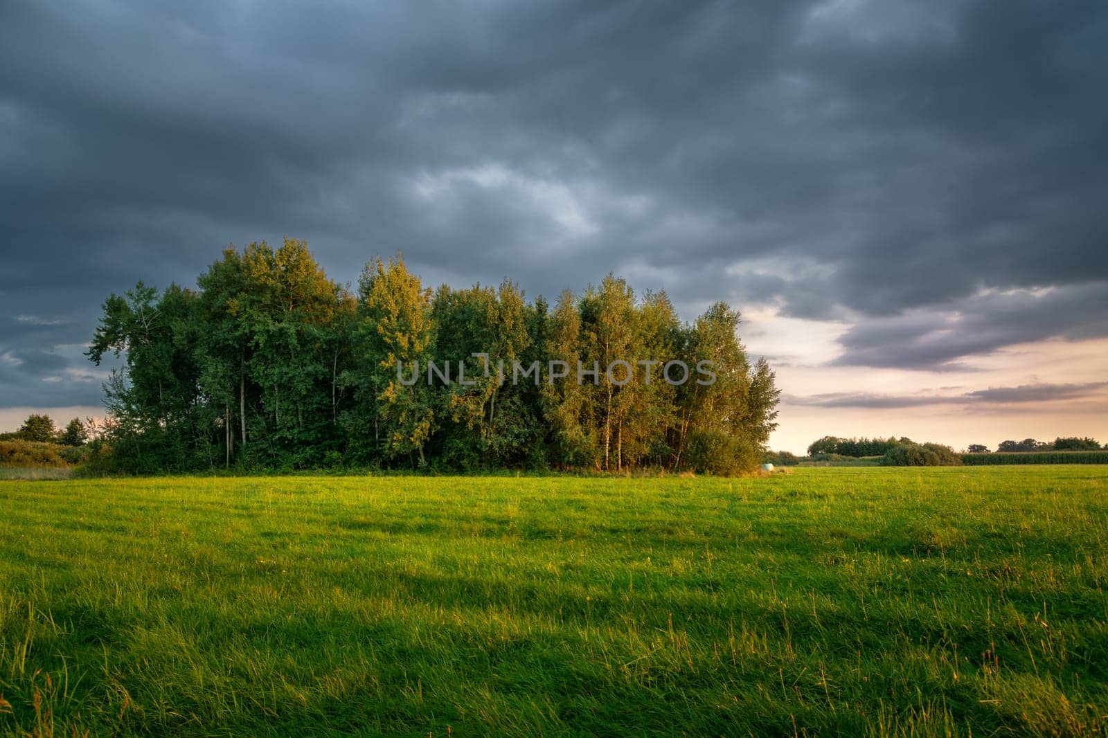 Green meadow with forest and dark clouds, evening view