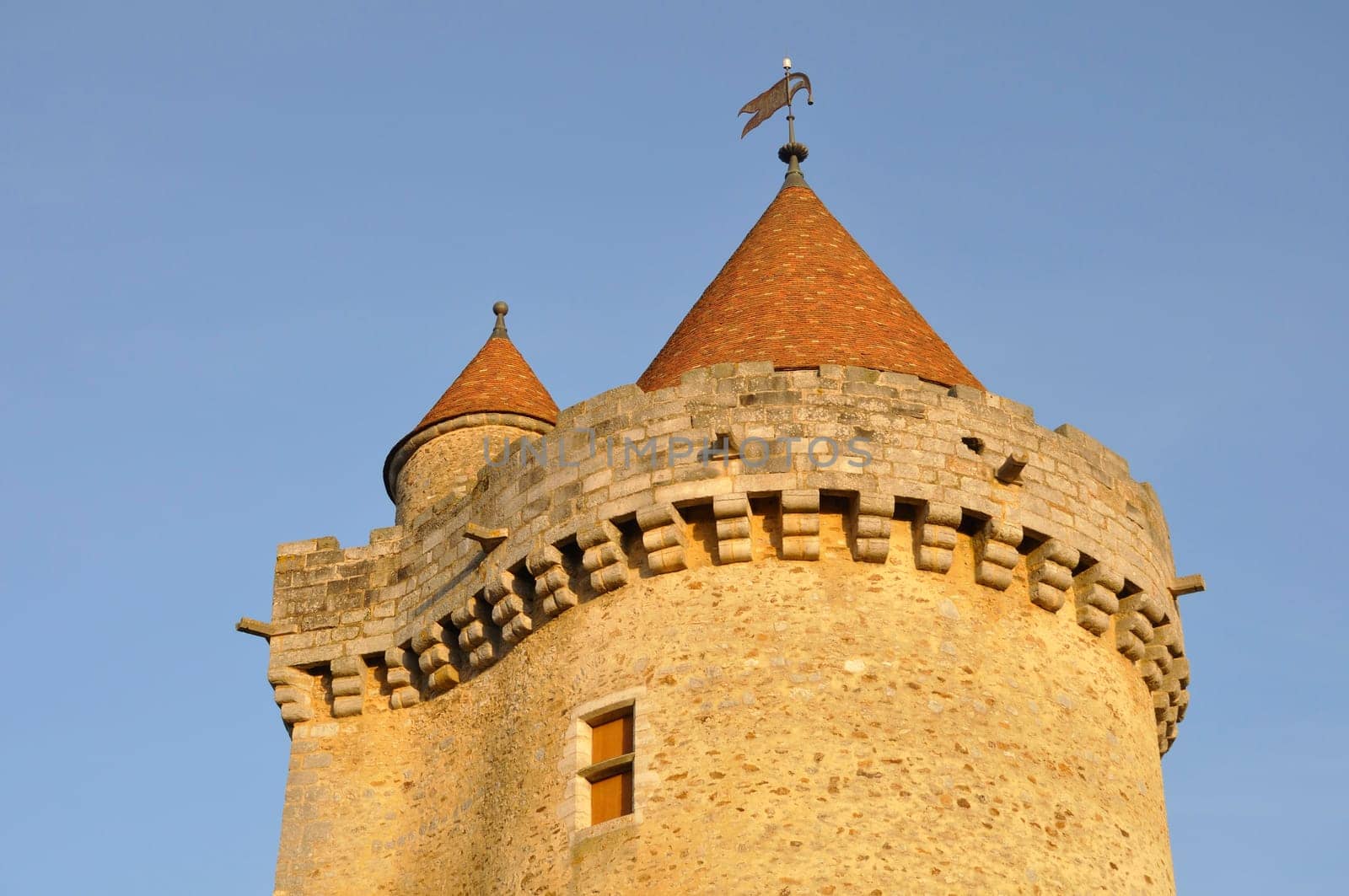 Castle of Blandy les Tours in Seine et Marne