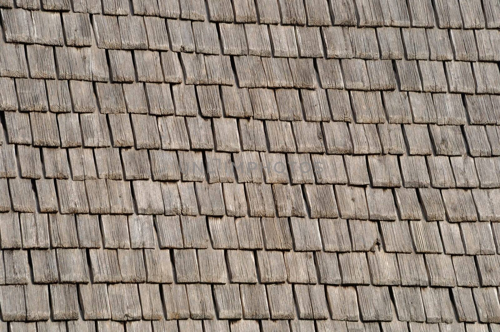 Mont Saint michel architectural wood roof
