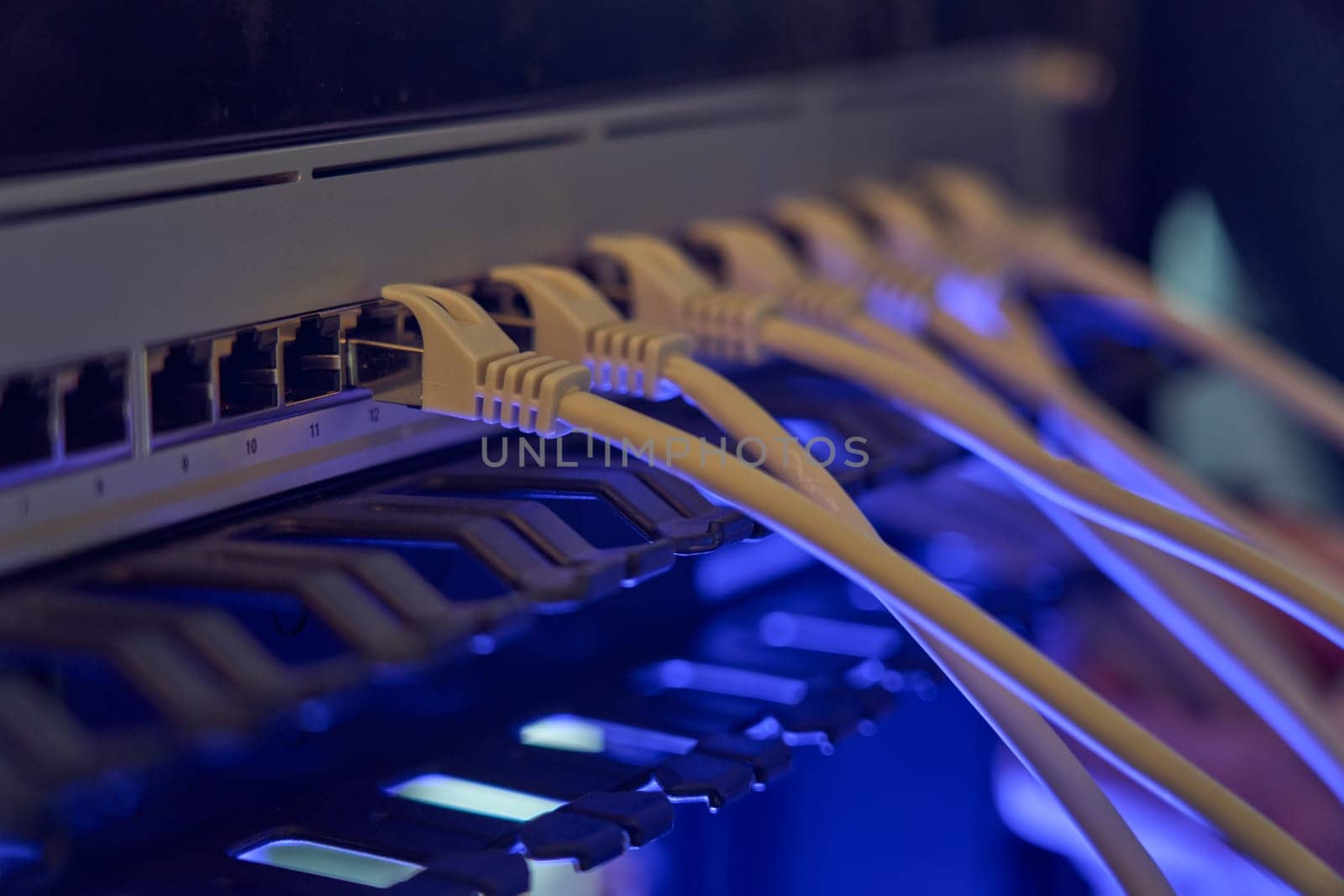 IT expert working with computer server network cable. Connectivity, Internet, technician, installing.