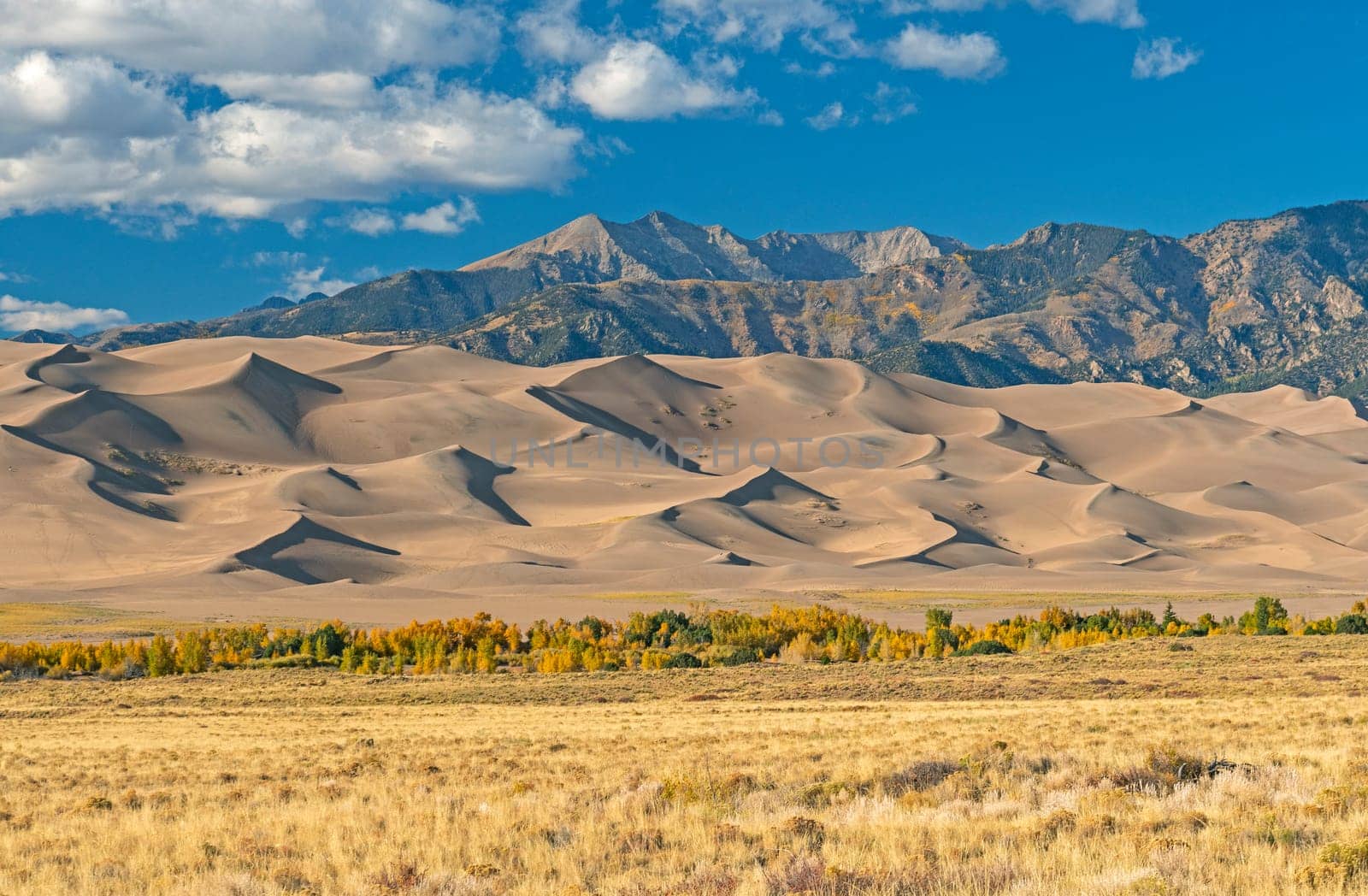 Sand Dunes in the Mountains in the Fall in Great Sand Dunes National Park in Colorado