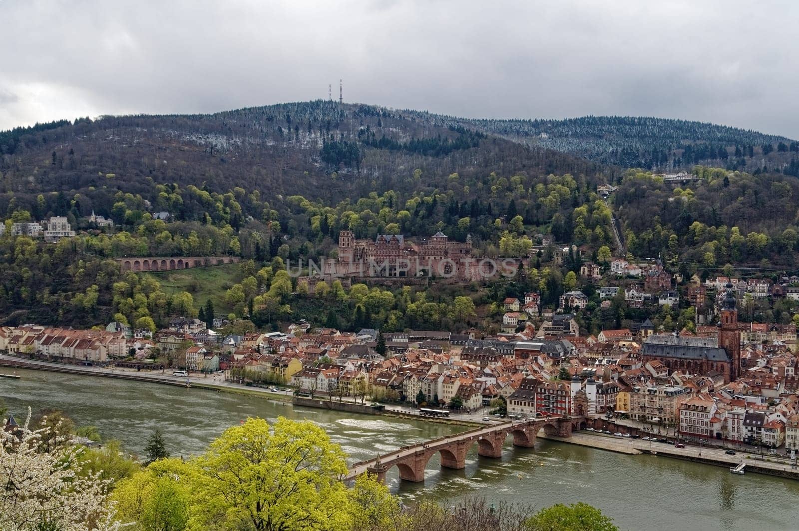 Heidelberg