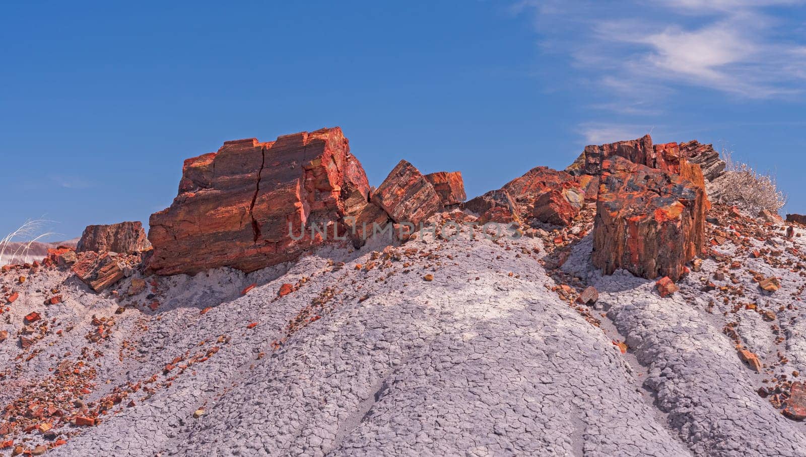 Petrified Wood on a Colorful Mound in Petrified Wood National Park in Arizona