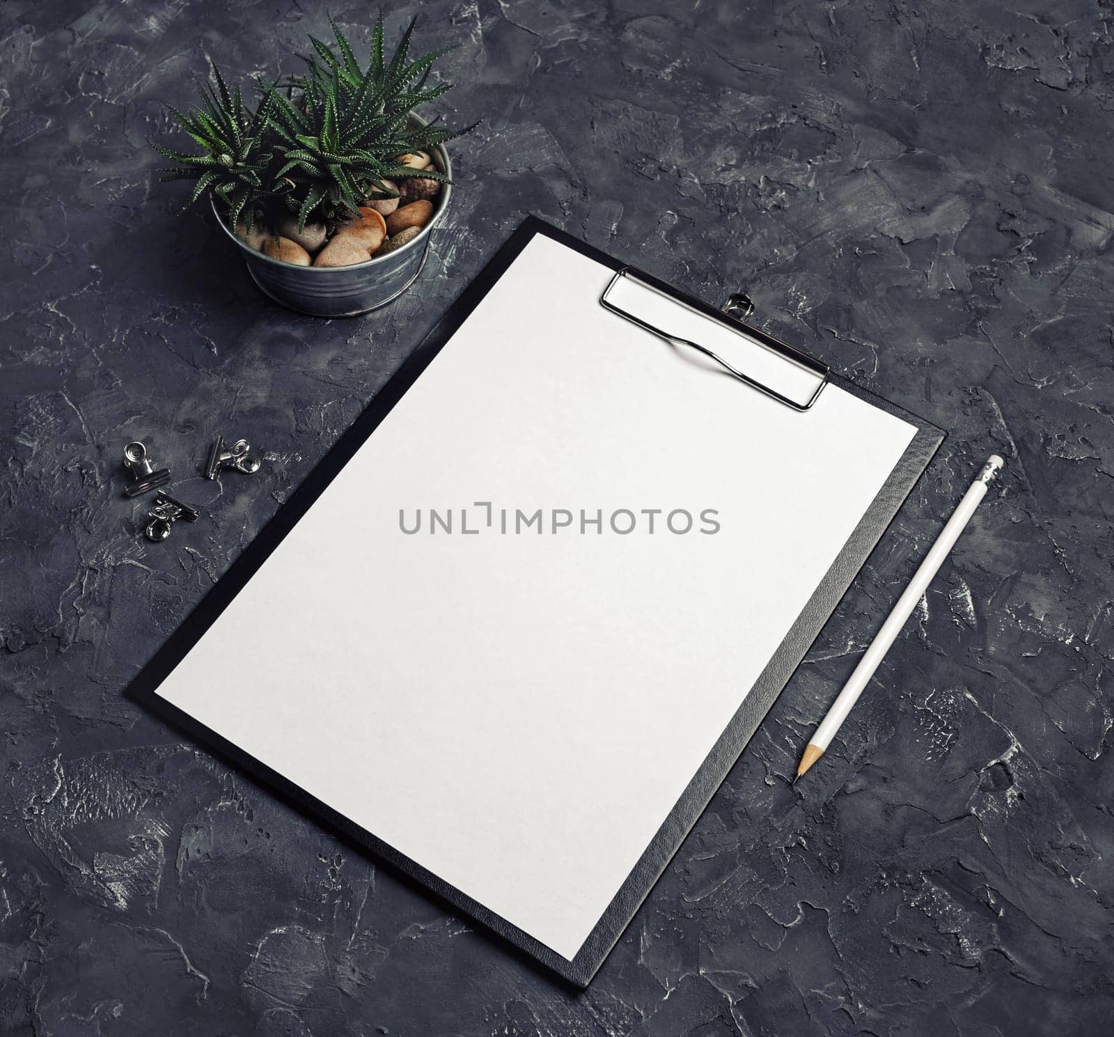 Blank stationery mockup. Clipboard, blank letterhead, pencil and succulent plant. Template for branding identity.