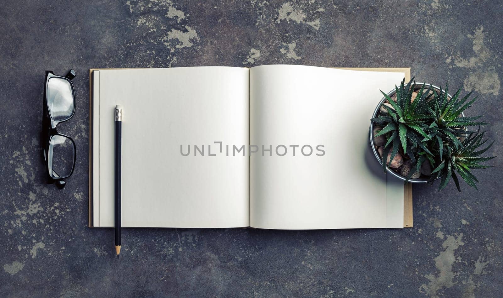 Blank book, succulent plant, pencil and glasses. Responsive design mockup. Top view.