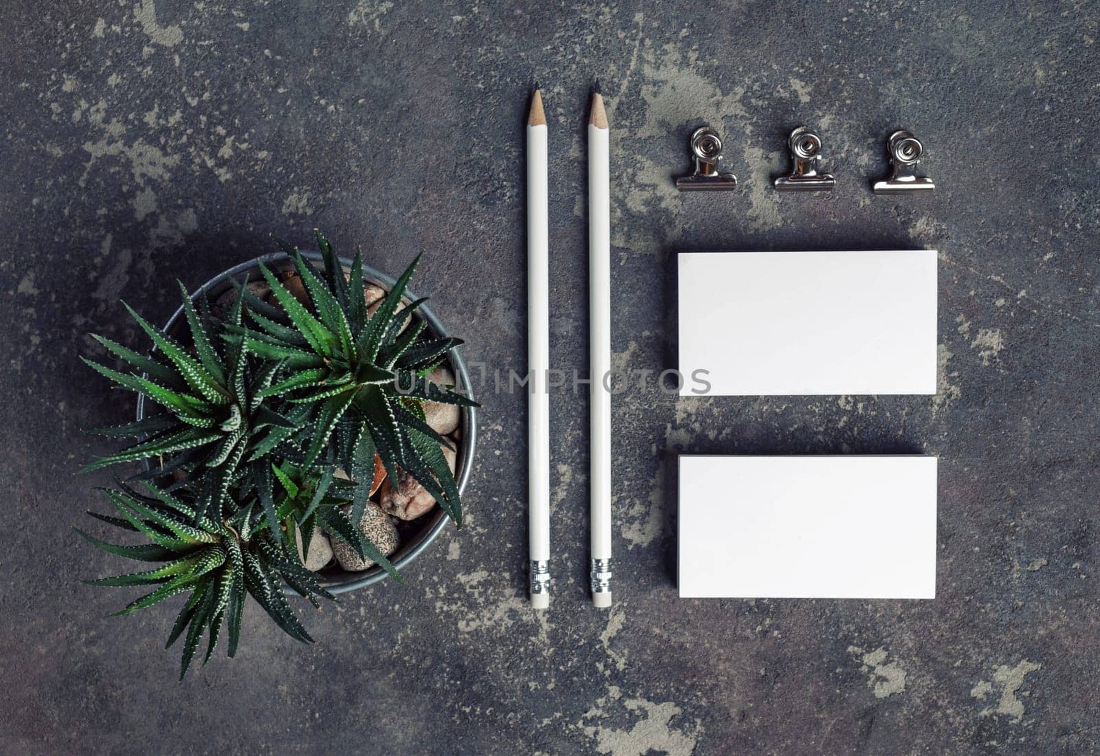 Blank corporate id stationery. Photo of blank business cards, pencils, succulent plant and metal clips. Top view.
