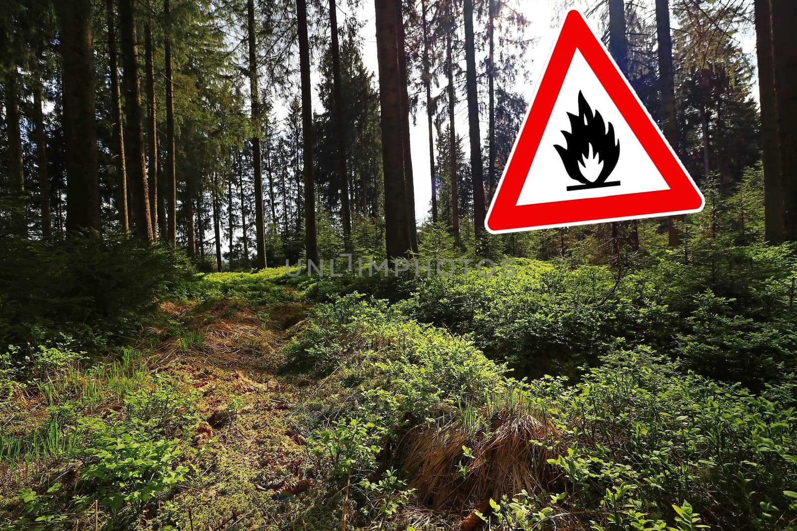 Beware of forest fires in dry weather. Fire hazard in summer in forest areas