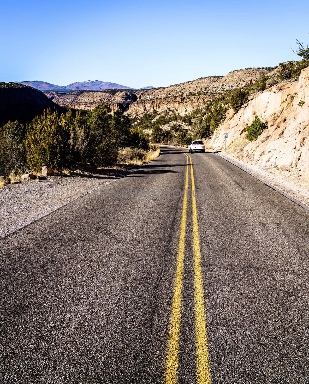 Road through the Frijoles Canyon in Bandelier National Monument, New Mexico