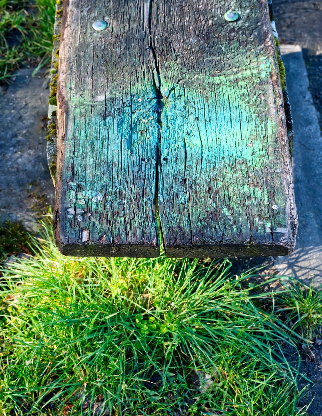 Part of a wooden bench, stained with neon green paint, in contrast to the green grass below (enlightened by the sun)