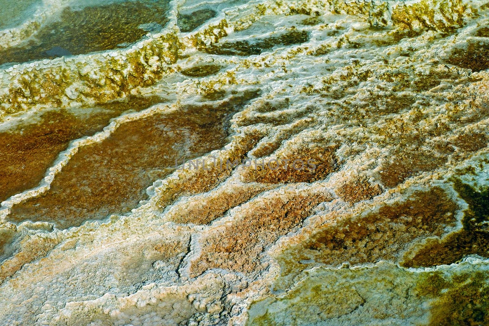 Mammoth Hot Springs in Yellowstone National Park