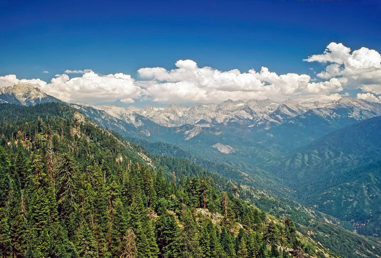 The Great Divide with forest and blue sky with clouds