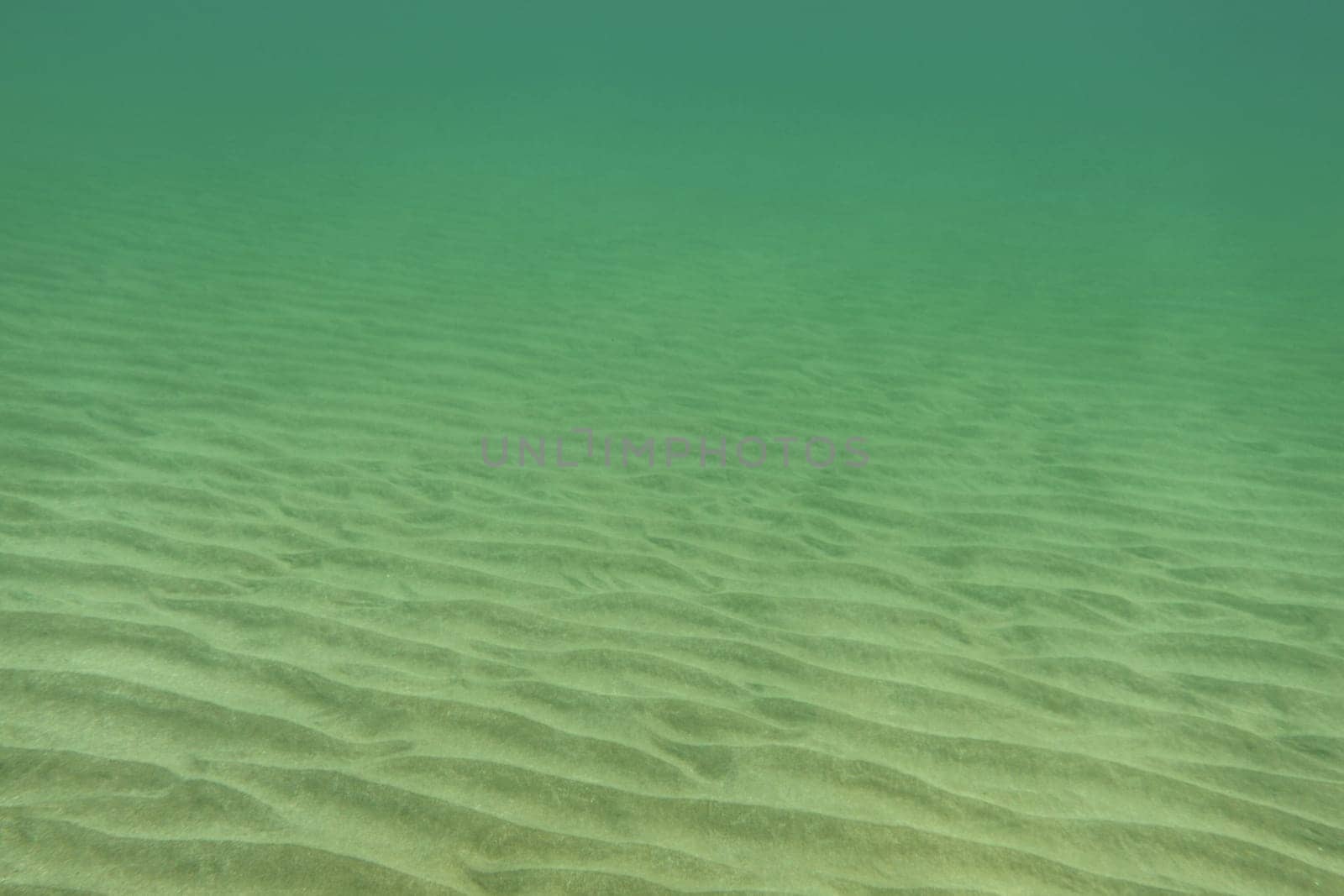 Underwater photo - almost flat sea bottom, only small sand "dunes"" visible. Abstract marine background."