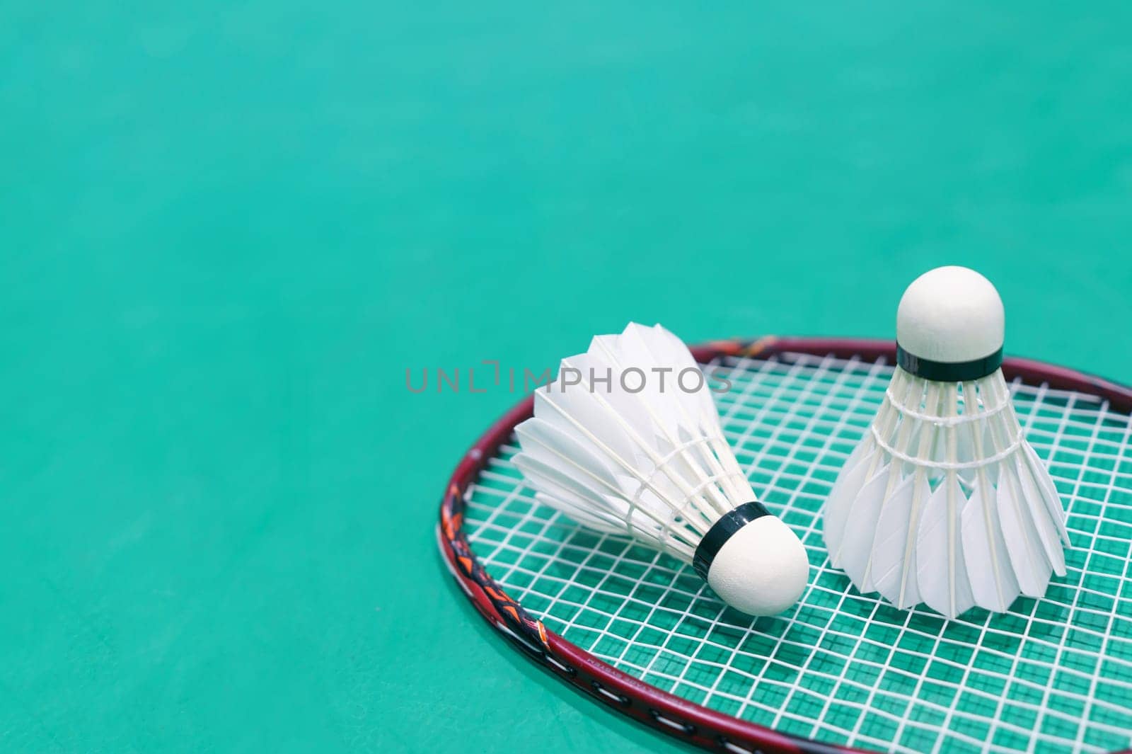 new shuttlecock on green badminton playing court