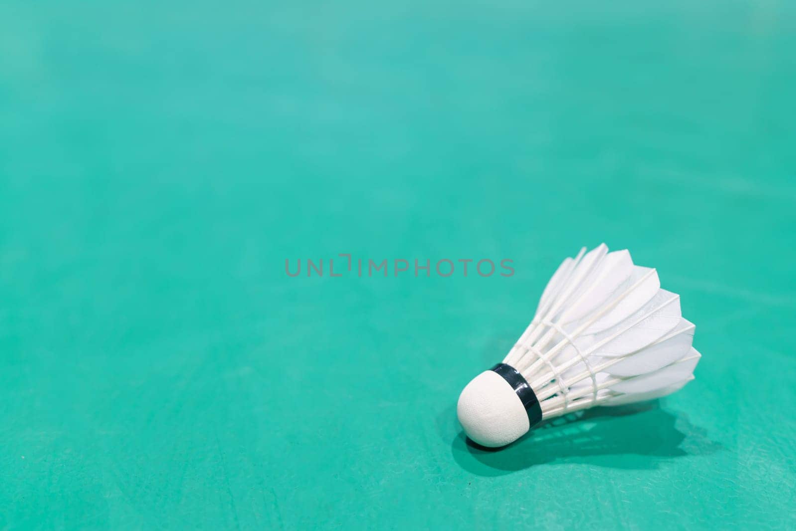 new shuttlecock on green badminton playing court