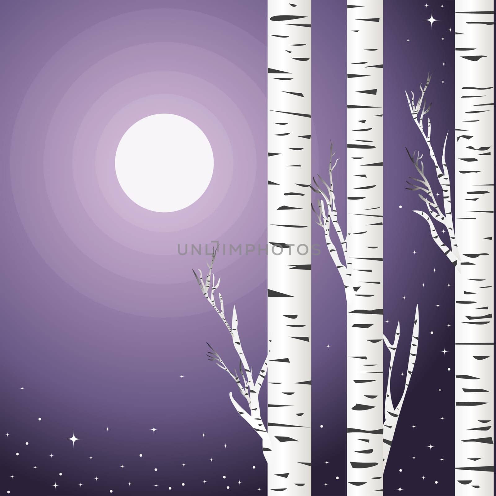 Background with birch trees in a violet night with moon