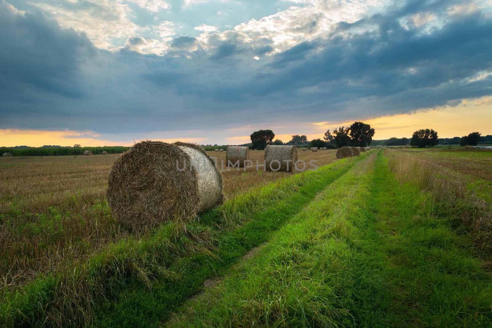 Hay bales next to a dirt path, Nowiny, Lubelskie, Poland