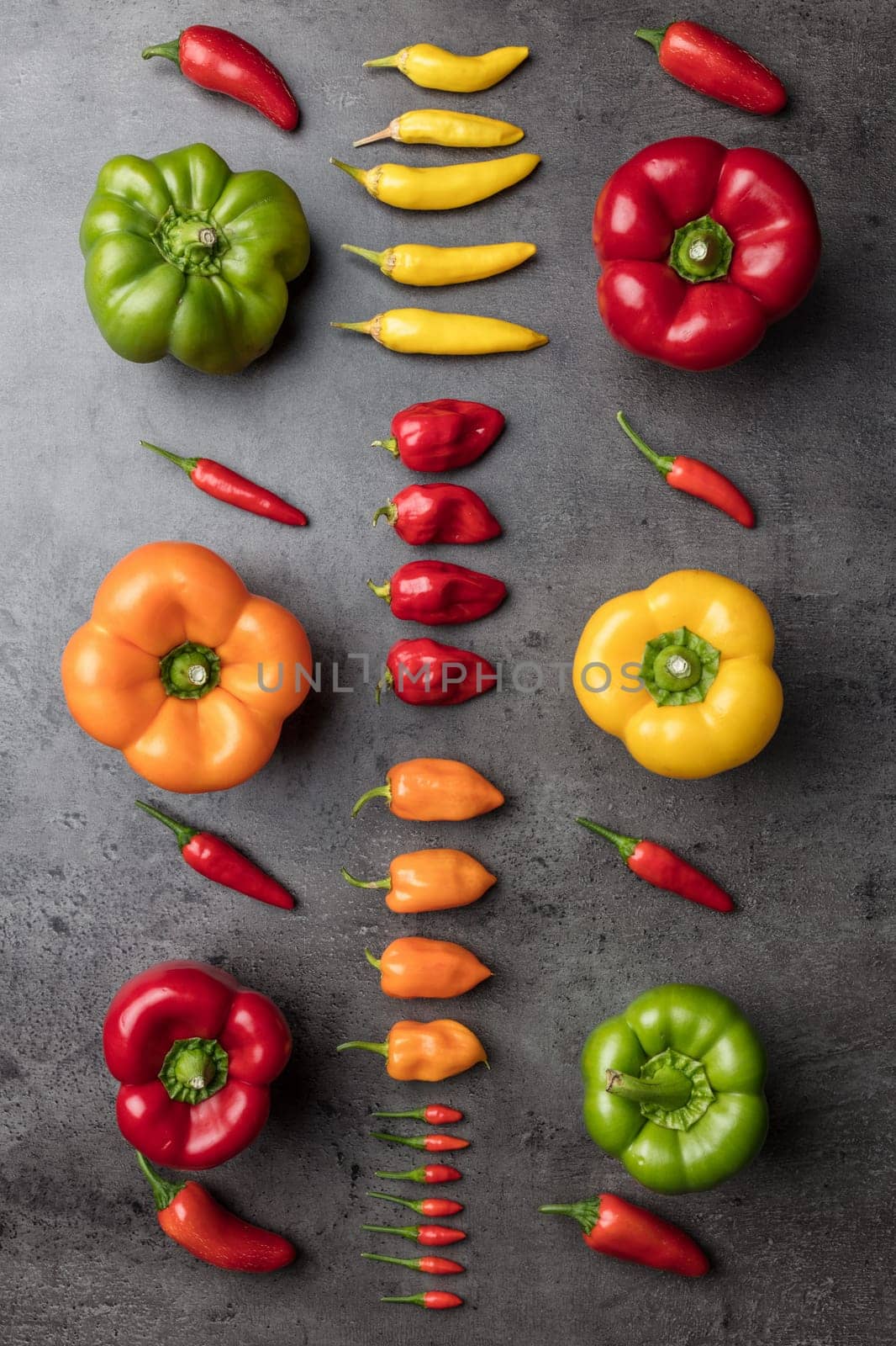 Variety of fresh and dried chili peppers on rustic background
