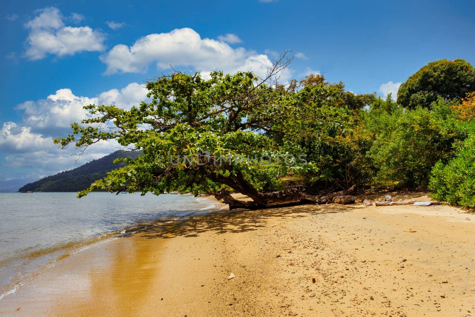 wild paradise beach in Masoala, Madagascar, Africa Wilderness, beautiful nature wilderness landscape