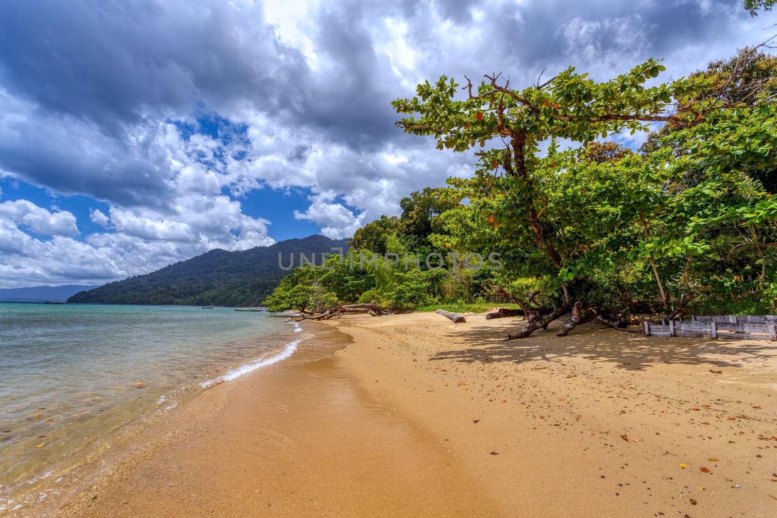 wild paradise beach in Masoala, Madagascar, Africa Wilderness, beautiful nature wilderness landscape