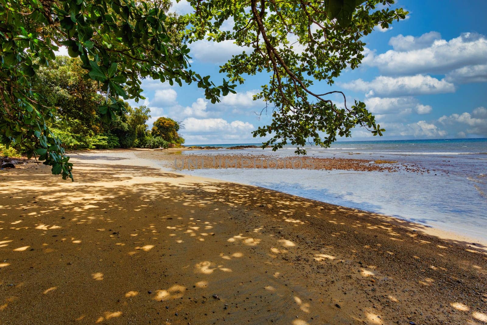 wild paradise beach in Masoala, Madagascar, Africa Wilderness, beautiful nature wilderness landscape