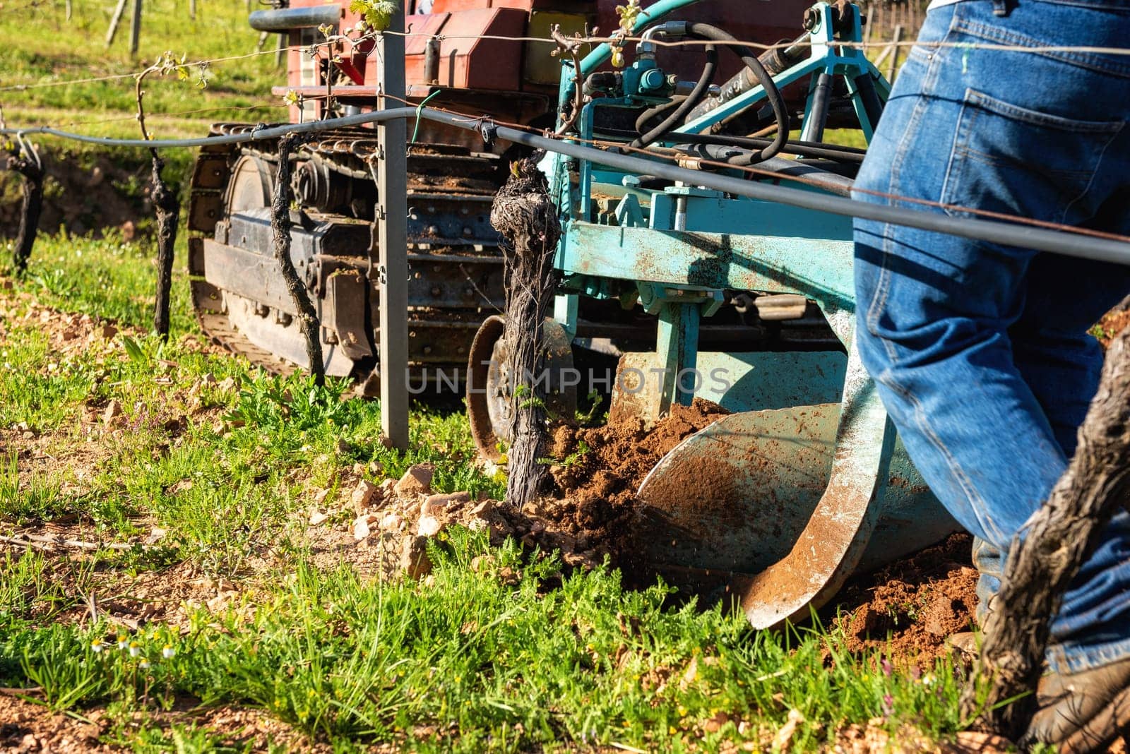 Farmer drives the plow while plowing the vineyard with the crawler tractor. Agricultural industry, winery.