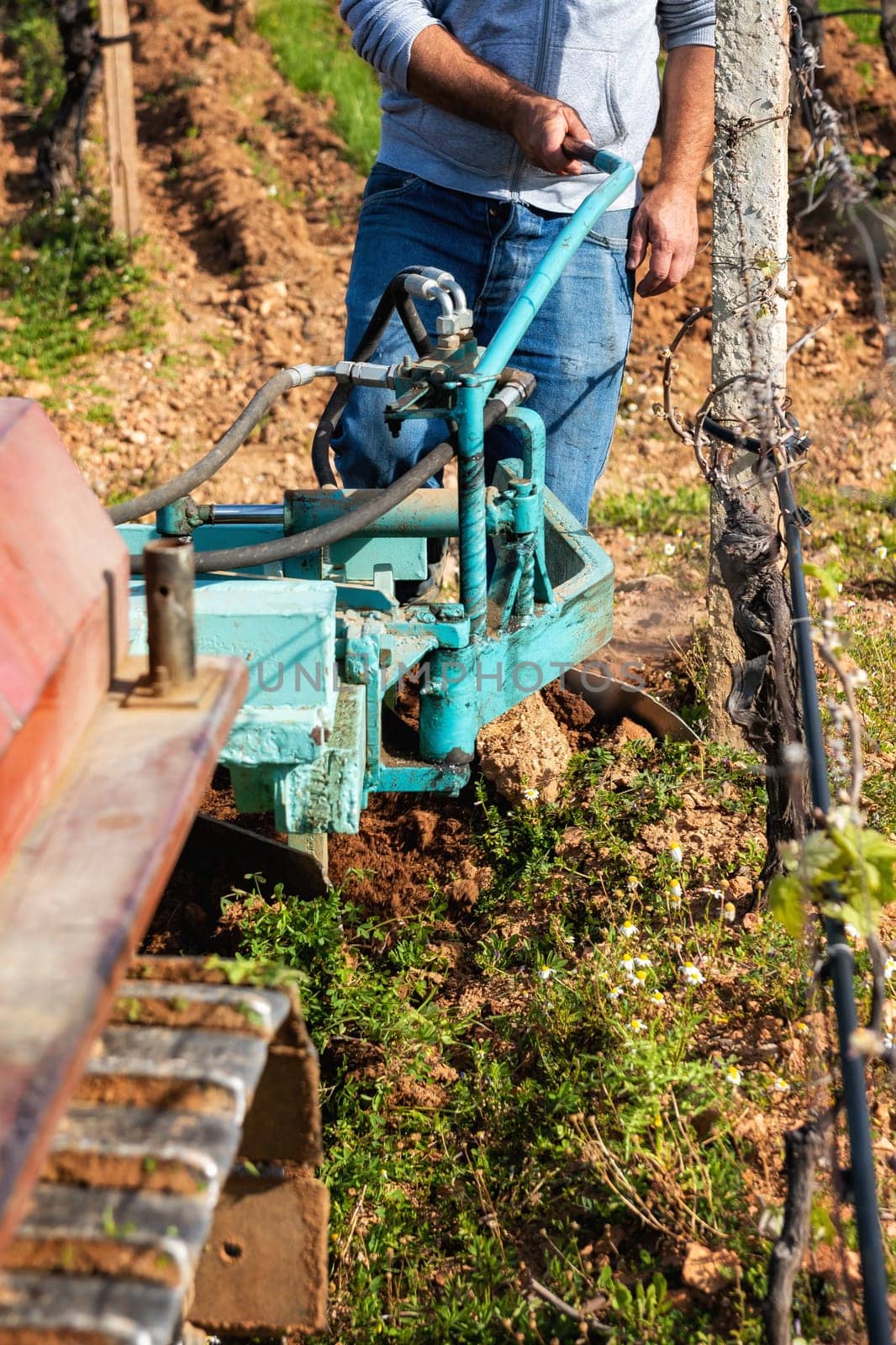 Farmer drives the plow while plowing the vineyard with the crawler tractor. Agricultural industry, winery.