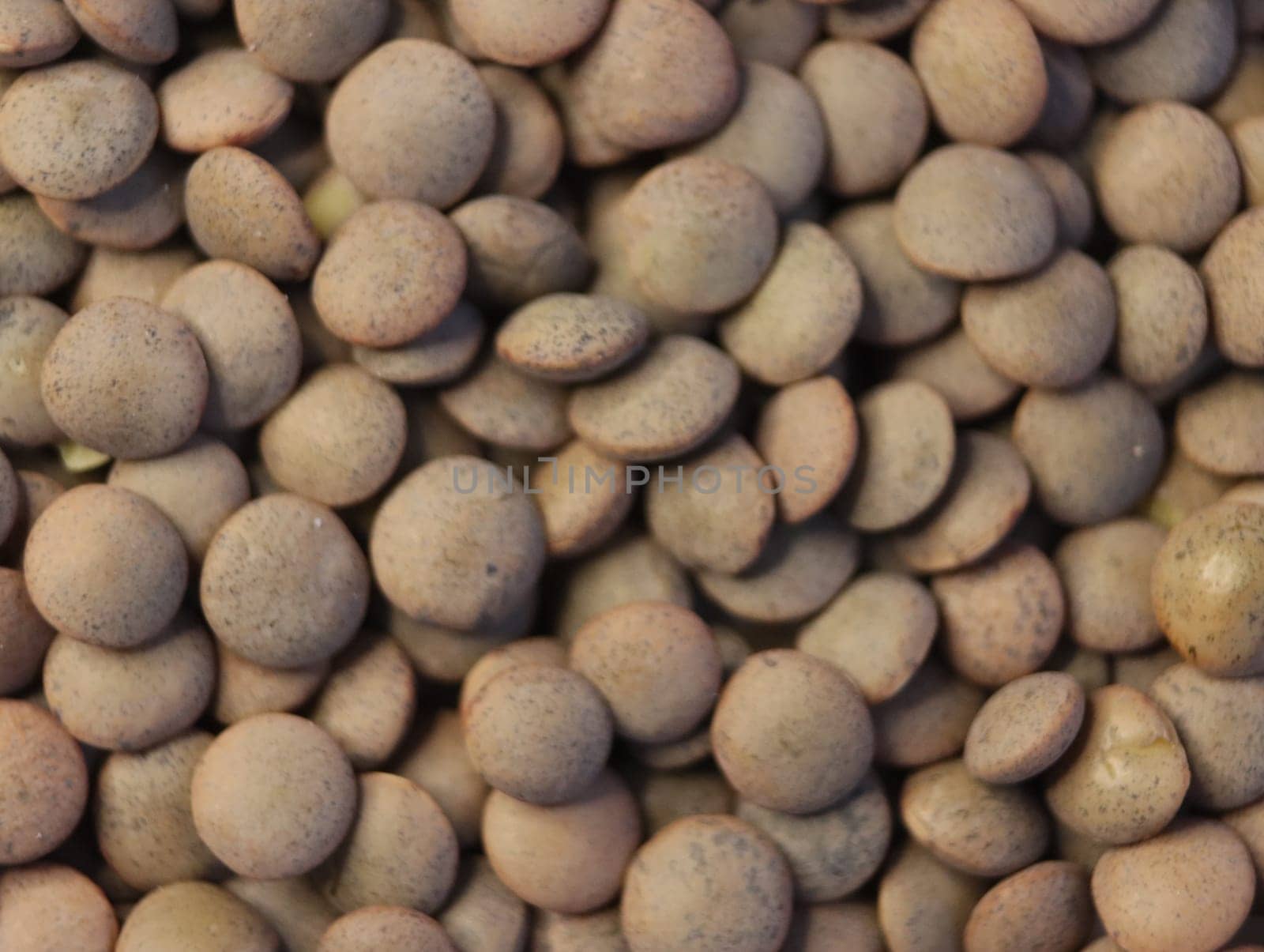delicious lentils healthy natural legumes needed background