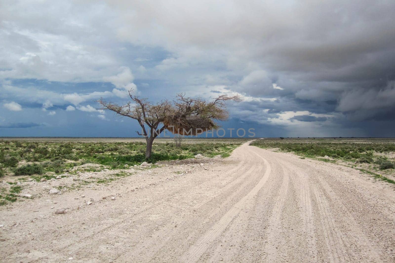 Landscape in Namibia in the rainy season