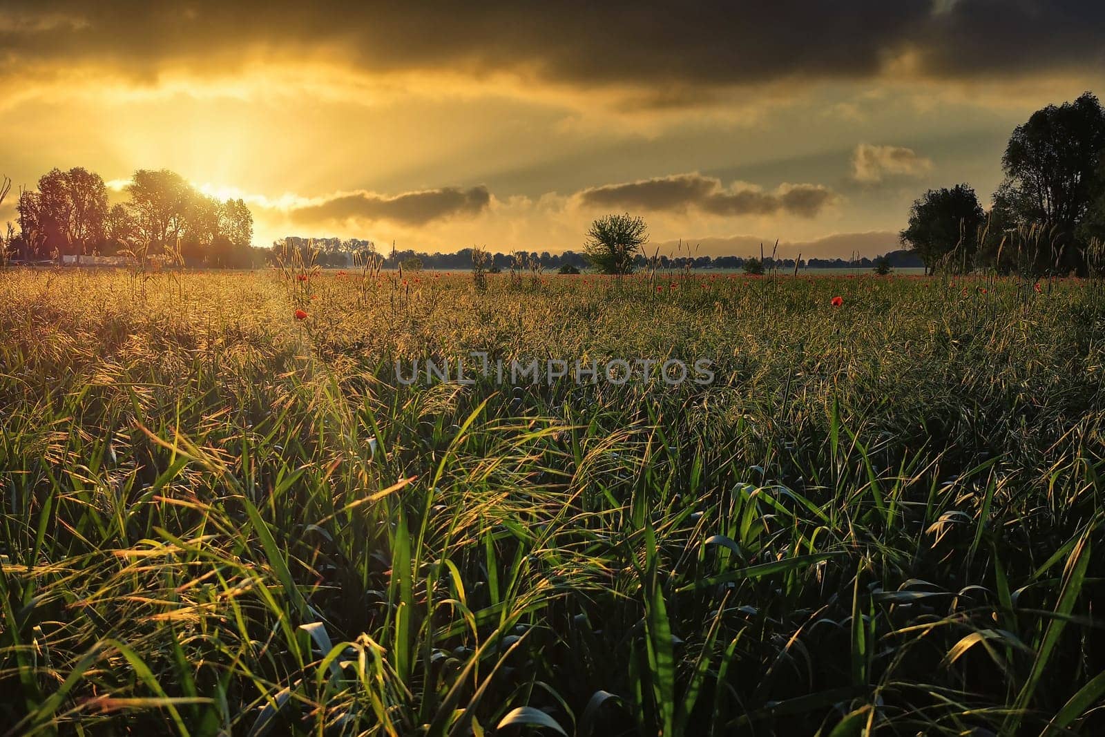 Sunrise over the Brandenburg countryside
