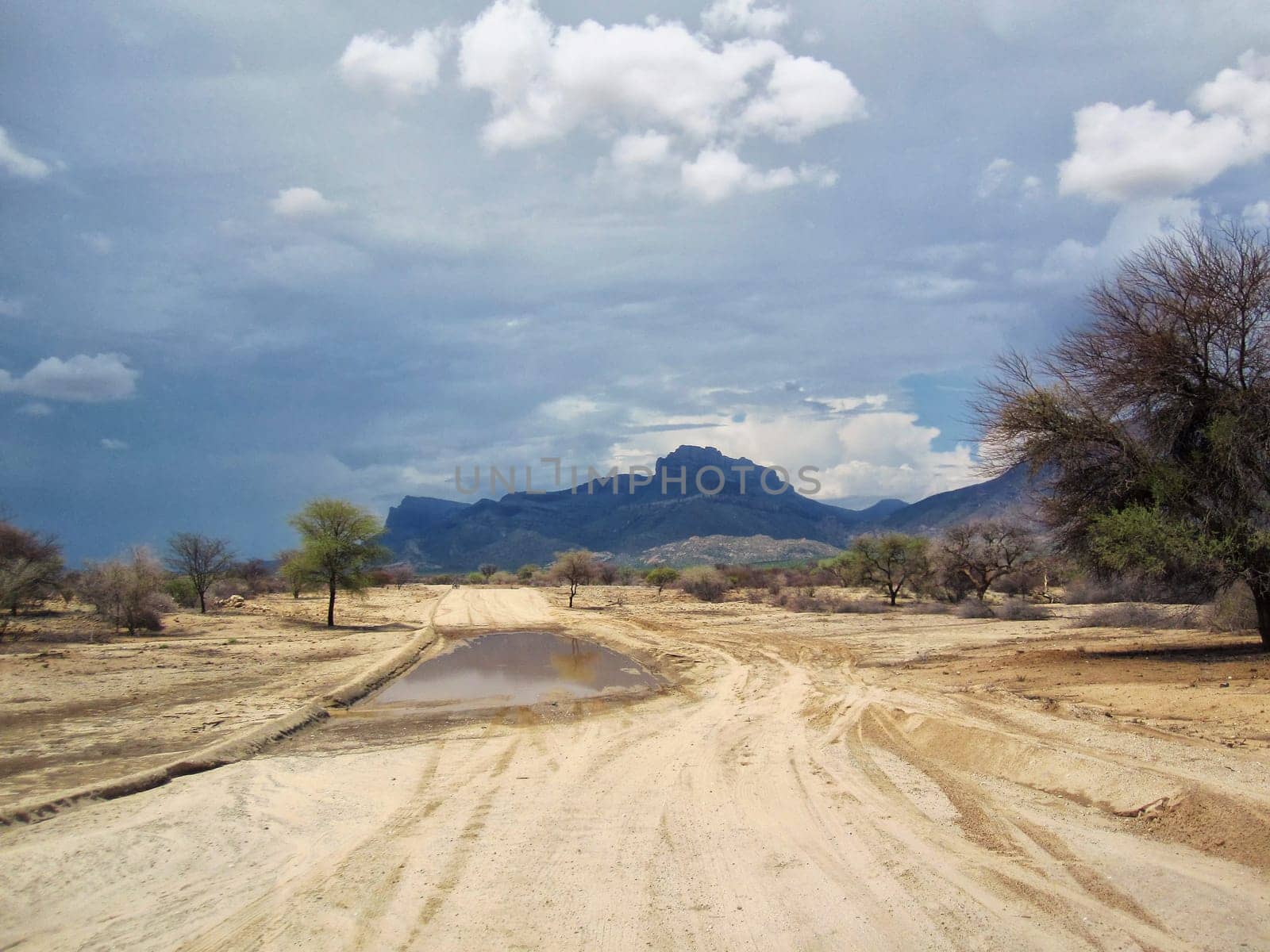Landscape in Namibia in the rainy season