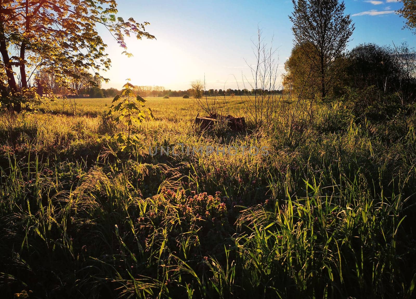 Sunrise over the Brandenburg countryside