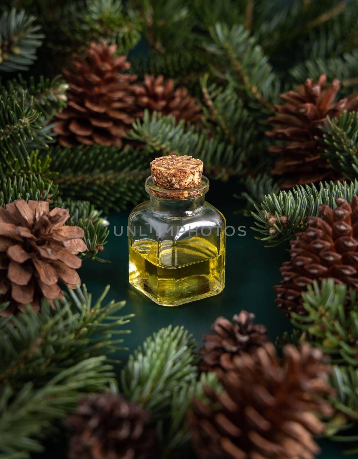 Glass bottle with conifer essential oil between fir branches and pine cones on green close up. Aromatherapy, spa and herbal medicine concept. Natural remedy or cosmetics.