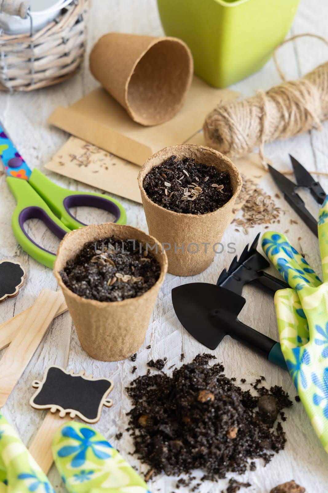 Herbs Seeds growing in a biodegradable pots near garden tools on wooden table. Indoor gardening, Homegrown plants, germinating herb seeds, top view