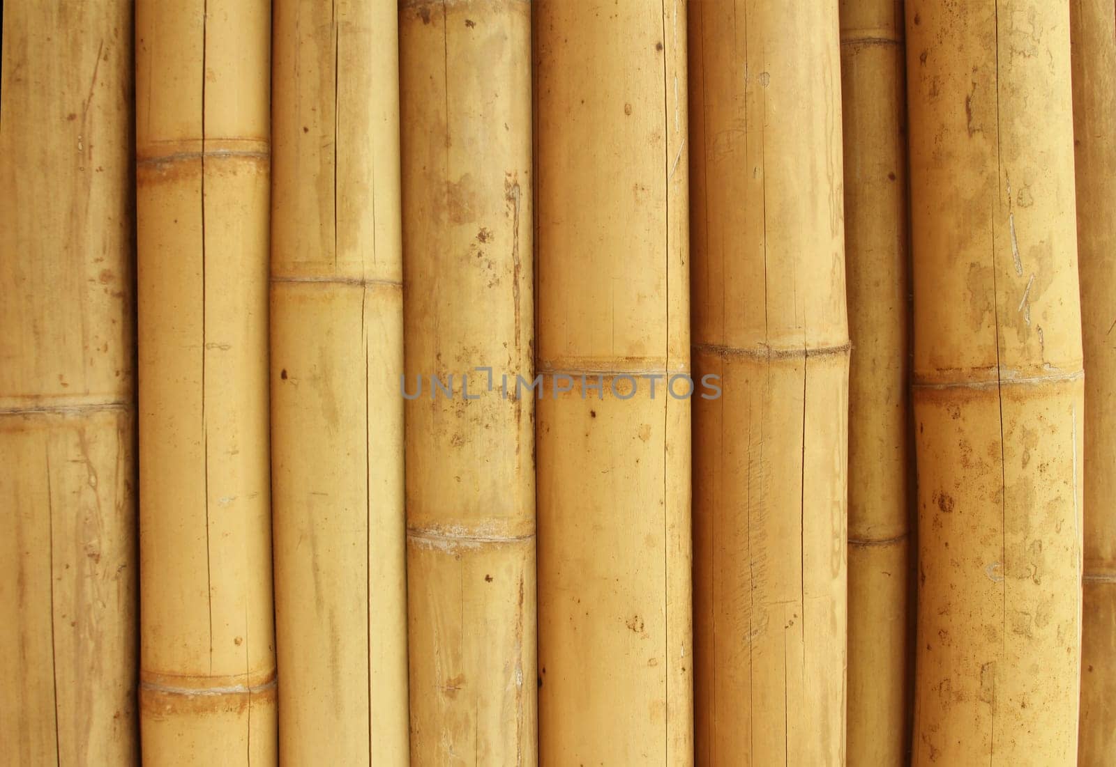 a Bamboo texture wall background