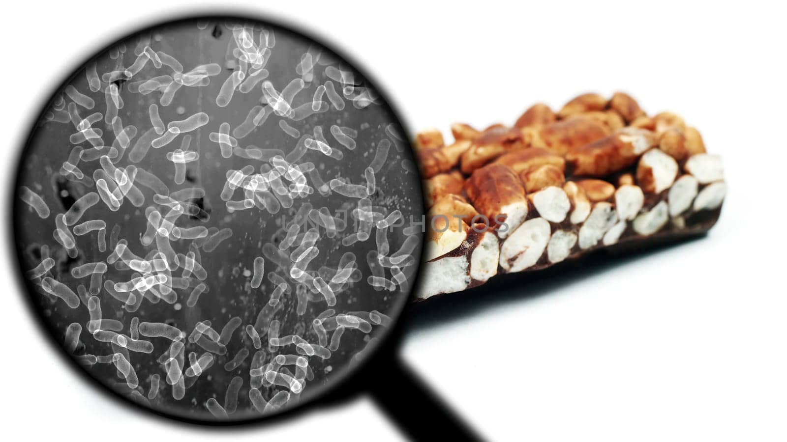 Searching for bacteria in sweets,Searching for bacteria in sweets