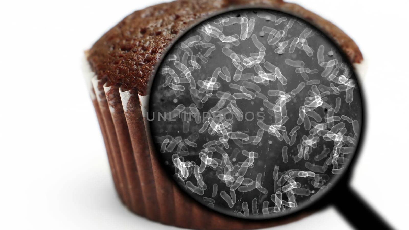 Searching for bacteria in sweets,Searching for bacteria in sweets