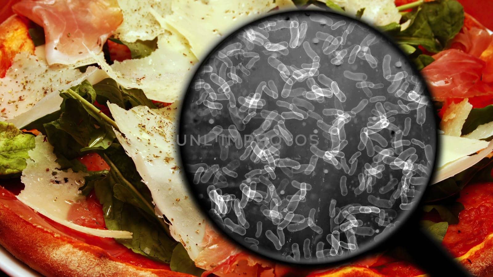 Searching For Bacteria In food,Searching For Bacteria In food