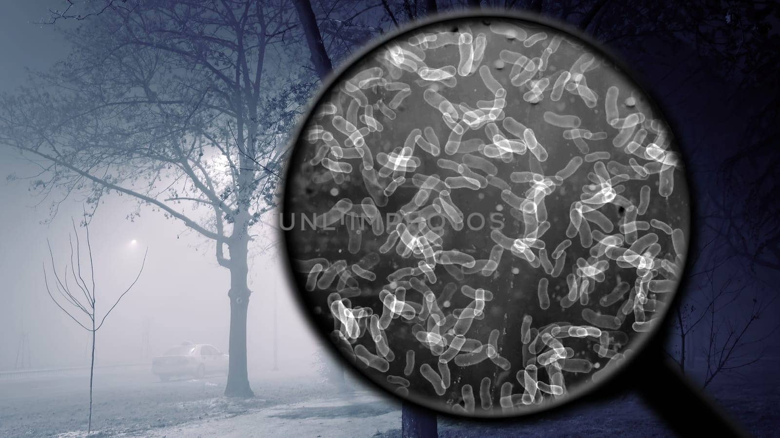 Searching for bacteria in the air,Searching for bacteria in the air