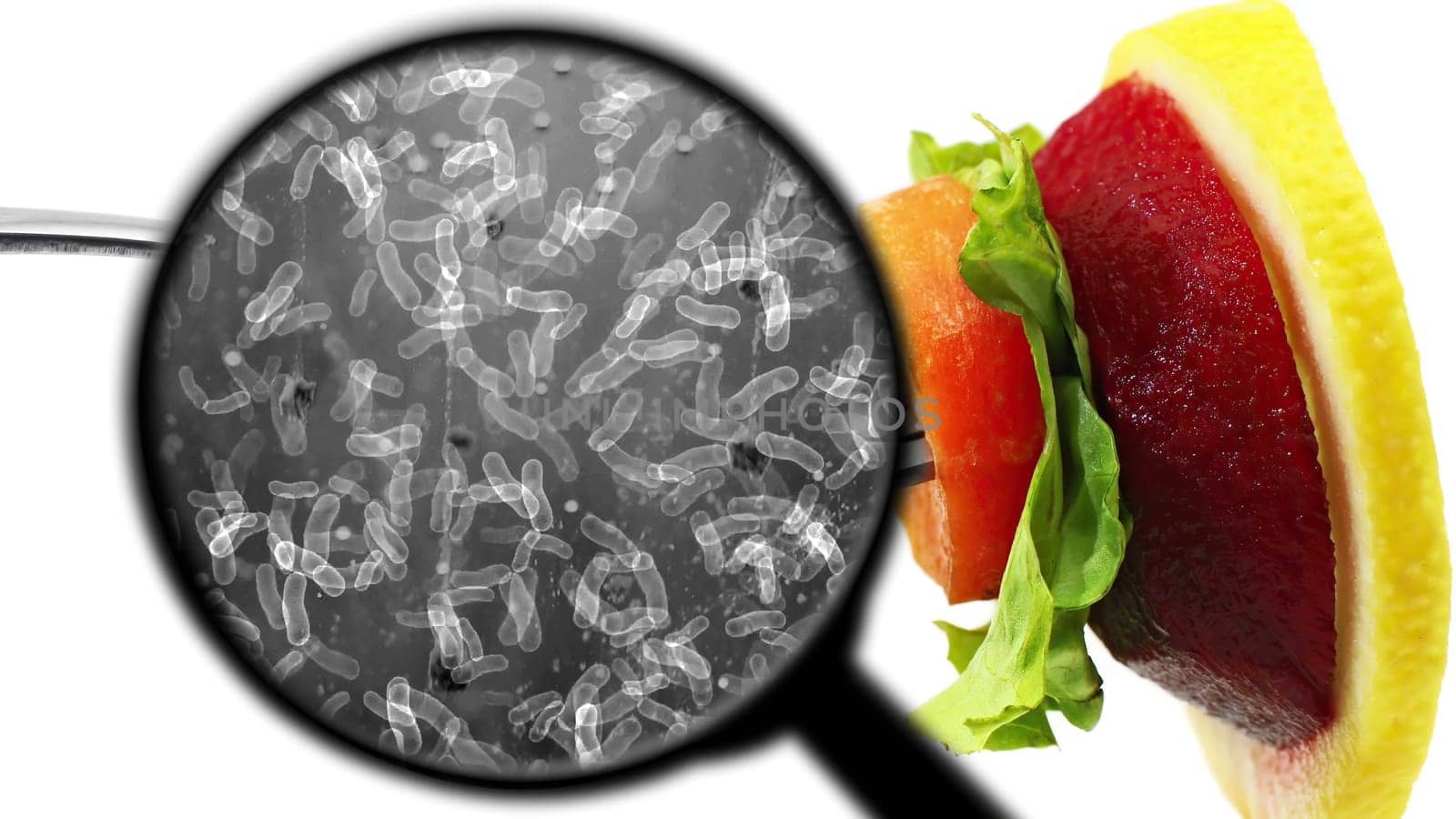 Searching for bacteria in vegetables,Searching for bacteria in vegetables