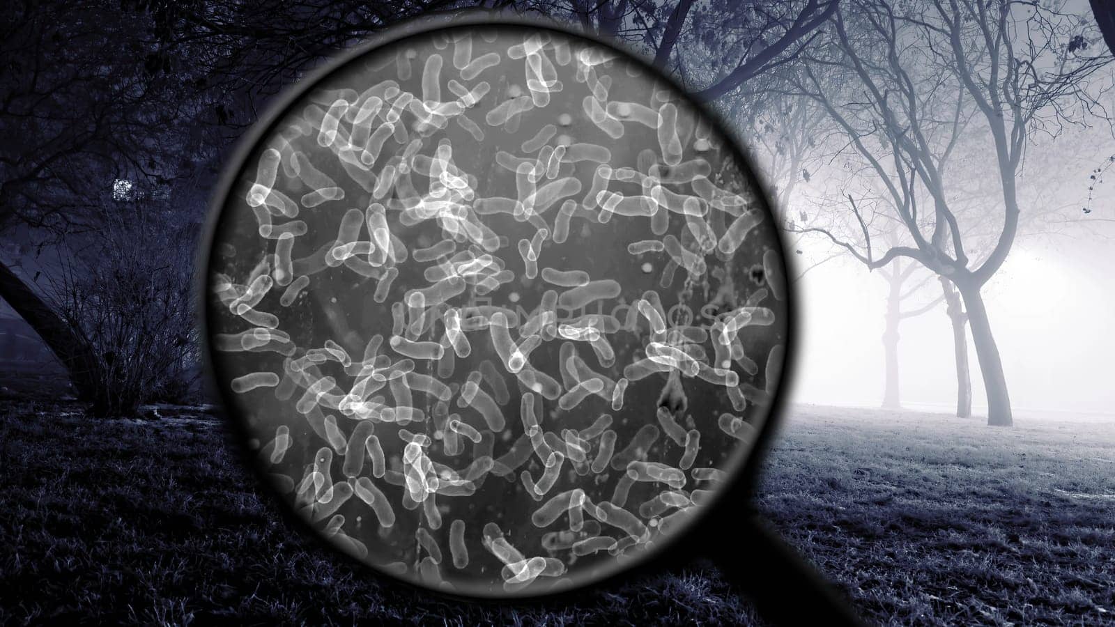 Searching for bacteria in the air,Searching for bacteria in the air