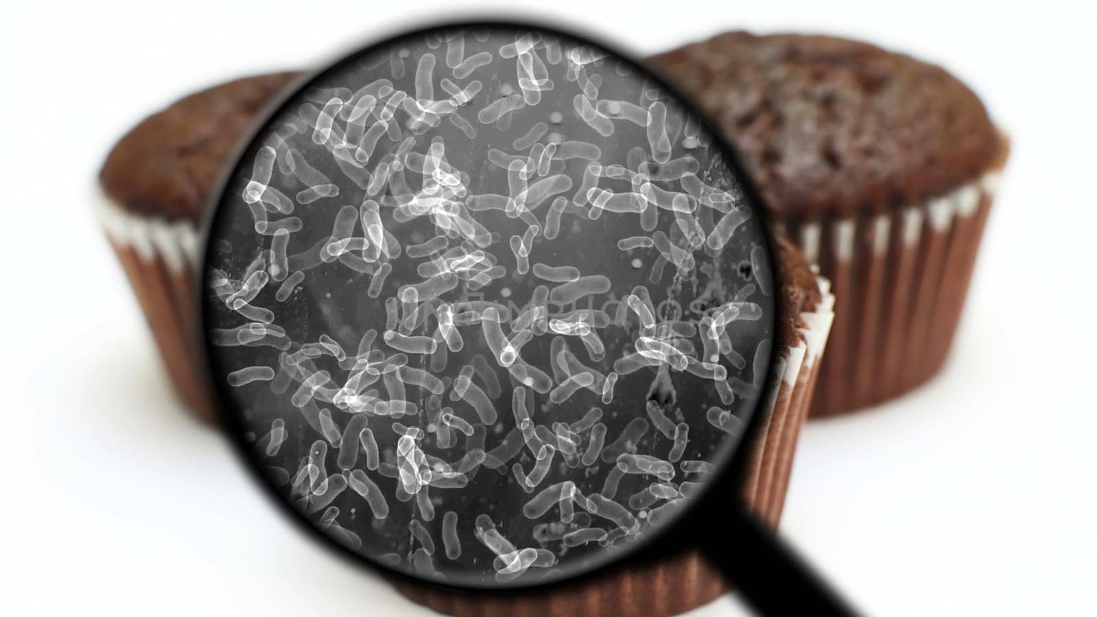 Searching for bacteria in sweets,Searching for bacteria in sweets