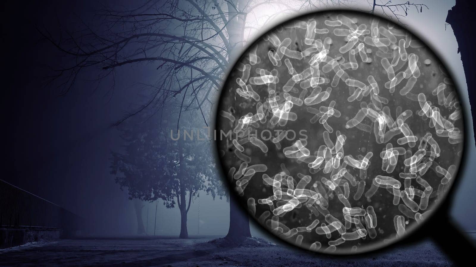 Searching for bacteria in the air,Searching for bacteria in the air