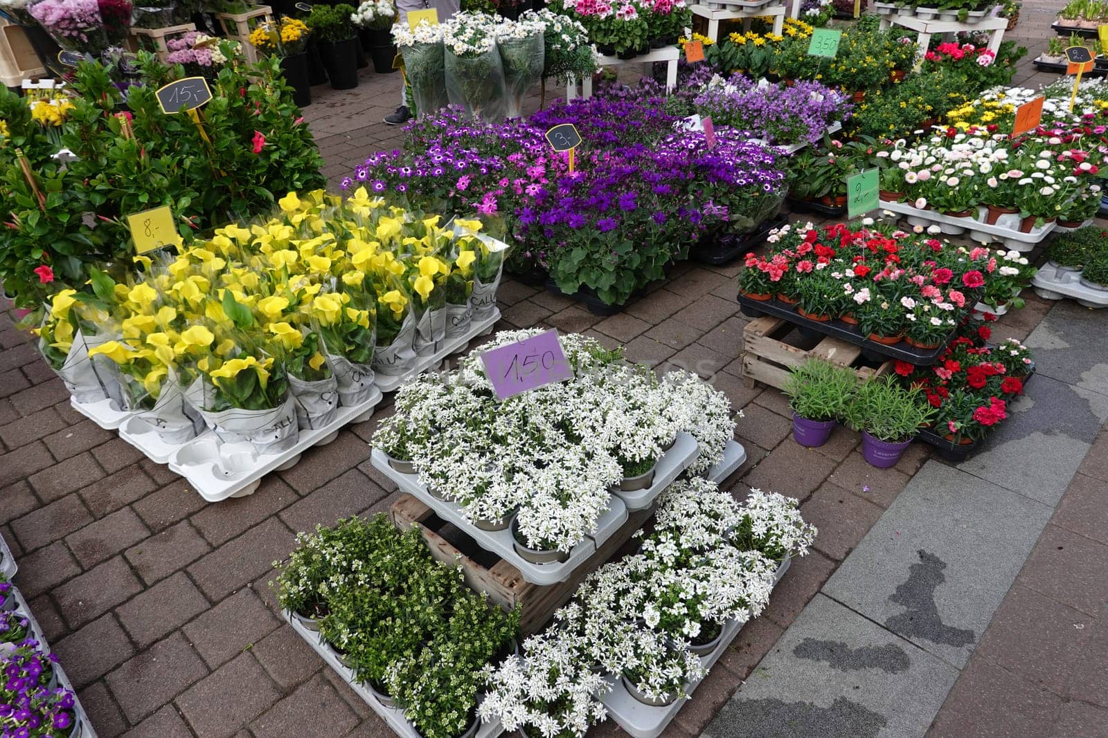 vielfältiges Angebot vor einem Blumengeschäft, Nordrhein-Westfalen, Deutschland, Brühl