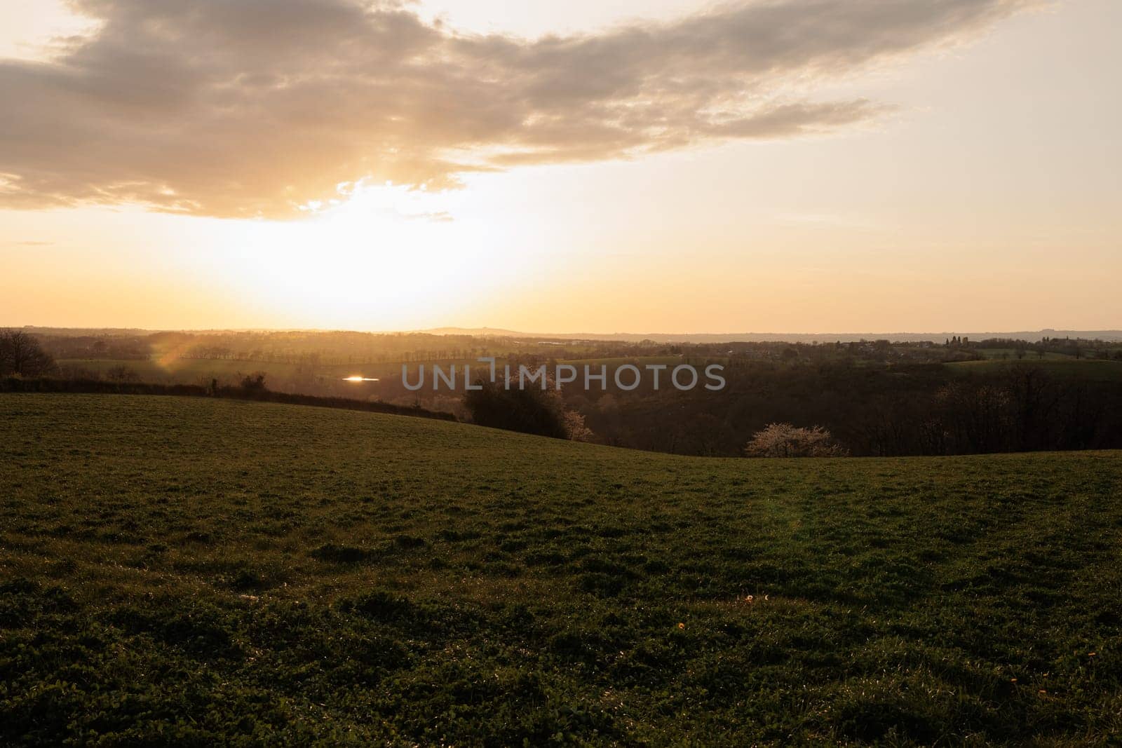 Green field country side at sunset panorama