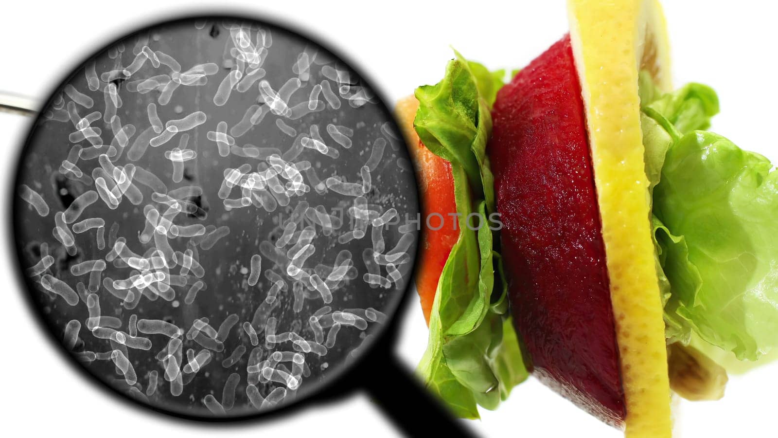 Searching for bacteria in vegetables,Searching for bacteria in vegetables