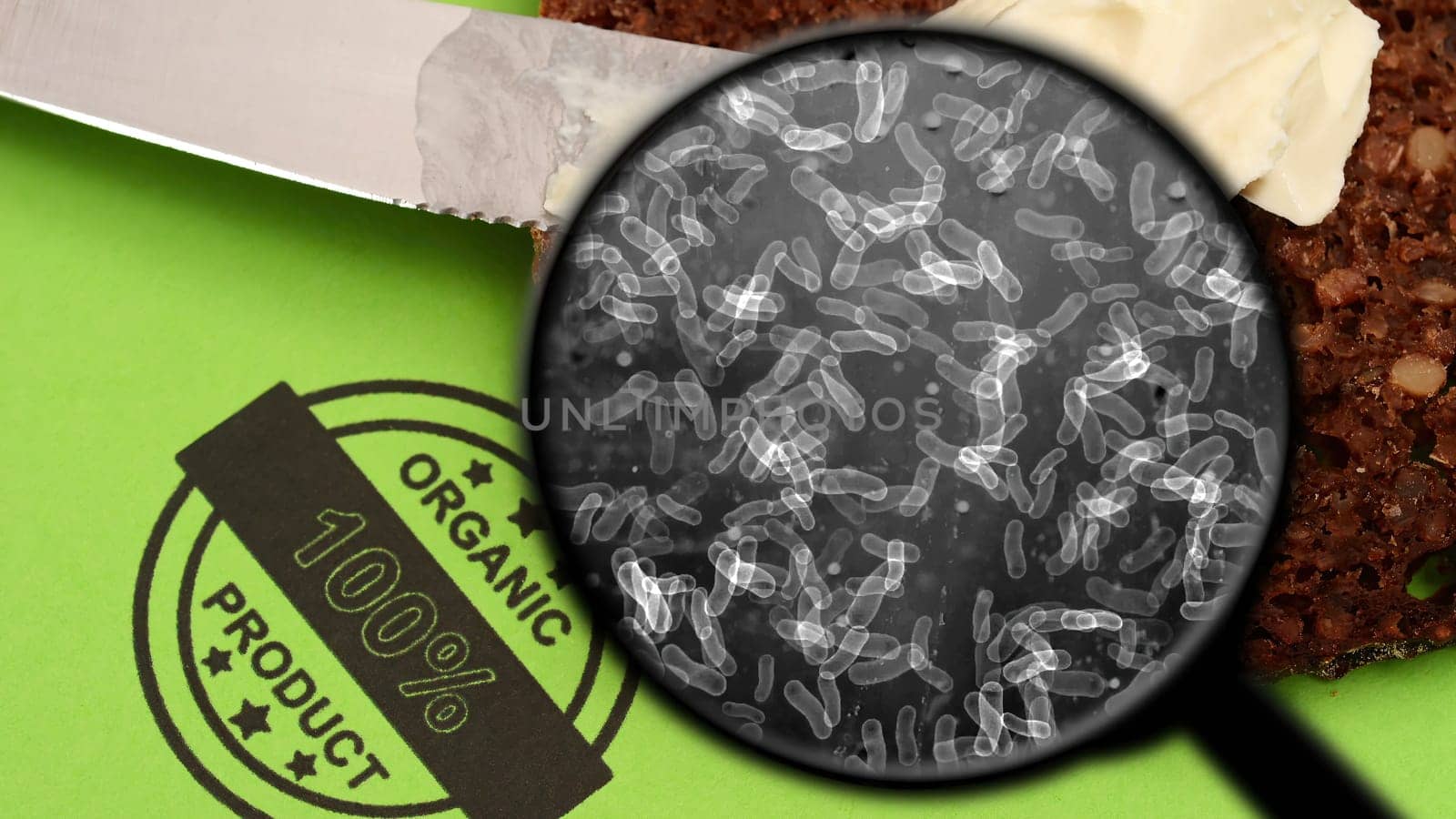 Searching for bacteria in bread,Searching for bacteria in bread